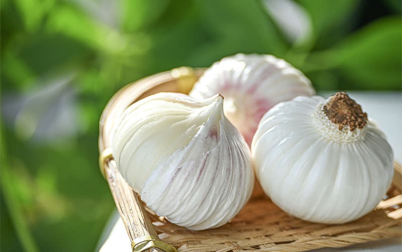 images/1689753639085de ajo.jpg